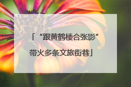 “跟黄鹤楼合张影”带火多条文旅街巷