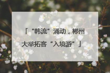“韩流”涌动，郴州大举拓客“入境游”