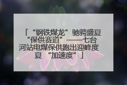 “钢铁煤龙”驰骋盛夏 “保供赛道”——七台河站电煤保供跑出迎峰度夏 “加速度”