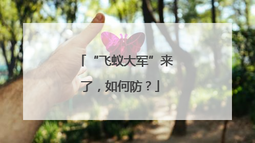 “飞蚁大军”来了，如何防？