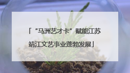 “马洲艺才卡”赋能江苏靖江文艺事业蓬勃发展
