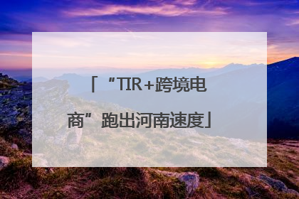 “TIR+跨境电商”跑出河南速度