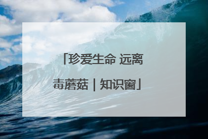 珍爱生命 远离毒蘑菇｜知识窗