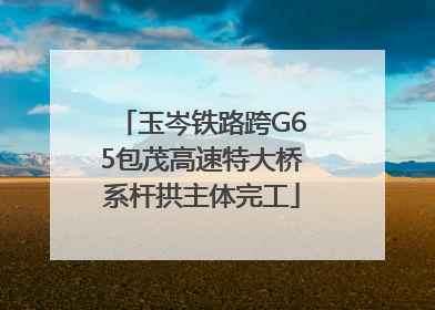 玉岑铁路跨G65包茂高速特大桥系杆拱主体完工