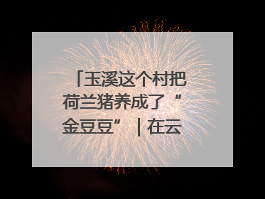 玉溪这个村把荷兰猪养成了“金豆豆”｜在云南样样好