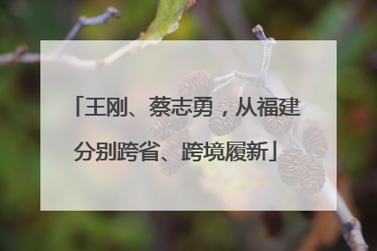 王刚、蔡志勇，从福建分别跨省、跨境履新
