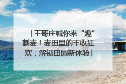 王哥庄喊你来“趣”割麦！麦田里的丰收狂欢，解锁田园新体验