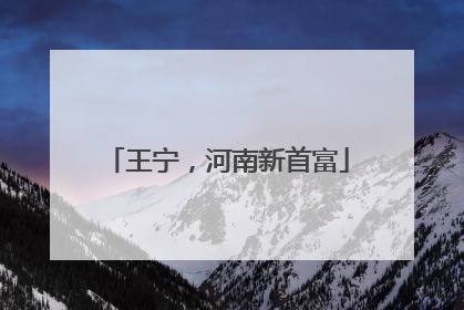 王宁，河南新首富