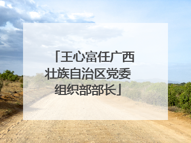 王心富任广西壮族自治区党委组织部部长