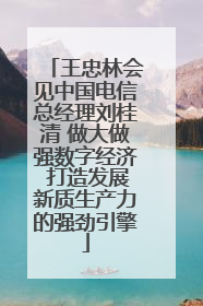 王忠林会见中国电信总经理刘桂清 做大做强数字经济 打造发展新质生产力的强劲引擎