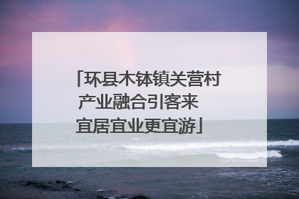 环县木钵镇关营村 产业融合引客来 宜居宜业更宜游
