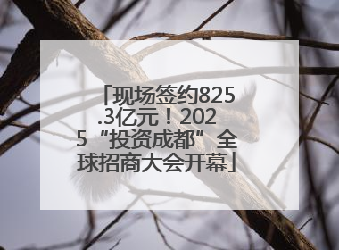 现场签约825.3亿元！2025“投资成都”全球招商大会开幕