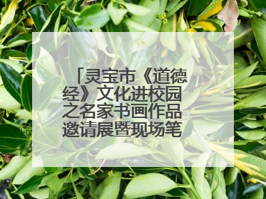 灵宝市《道德经》文化进校园之名家书画作品邀请展暨现场笔会活动举行