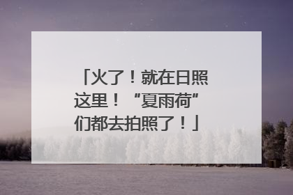 火了！就在日照这里！“夏雨荷”们都去拍照了！