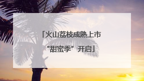 火山荔枝成熟上市 “甜蜜季”开启