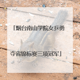 烟台南山学院女乒勇夺省锦标赛三项冠军