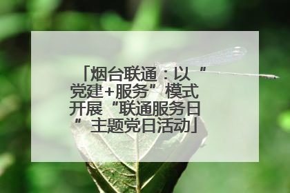 烟台联通：以“党建+服务”模式开展“联通服务日”主题党日活动
