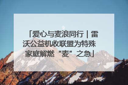 爱心与麦浪同行｜雷沃公益机收联盟为特殊家庭解燃“麦”之急