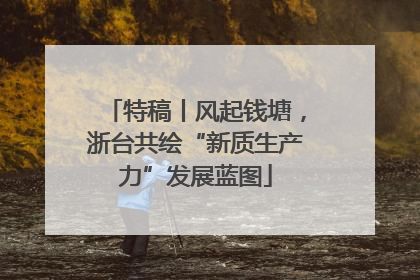 特稿丨风起钱塘，浙台共绘“新质生产力”发展蓝图