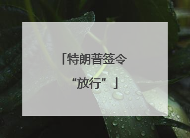 特朗普签令“放行”
