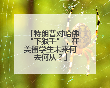 特朗普对哈佛“下狠手”，在美留学生未来何去何从？
