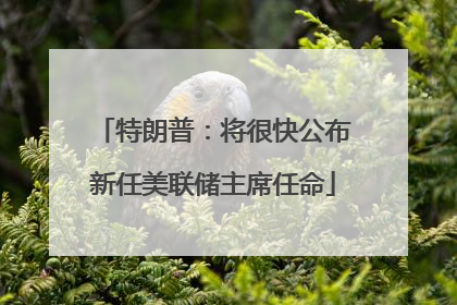 特朗普：将很快公布新任美联储主席任命