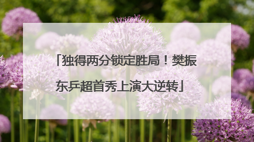 独得两分锁定胜局！樊振东乒超首秀上演大逆转