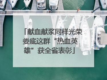 献血献浆同样光荣 娄底这群“热血英雄”获全省表彰