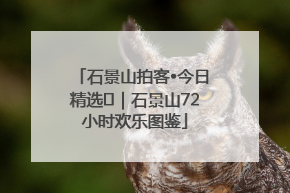 石景山拍客•今日精选⑲｜石景山72小时欢乐图鉴