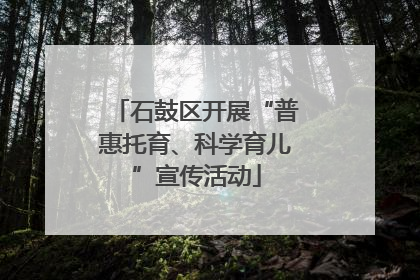 石鼓区开展“普惠托育、科学育儿”宣传活动