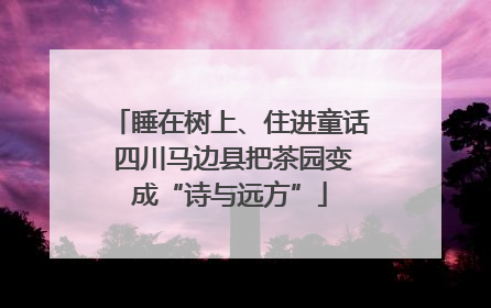 睡在树上、住进童话 四川马边县把茶园变成“诗与远方”