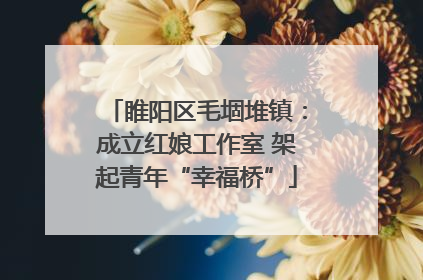 睢阳区毛堌堆镇：成立红娘工作室 架起青年“幸福桥”