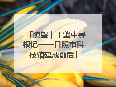 瞭望｜丁肇中寻根记——日照市科技馆建成前后