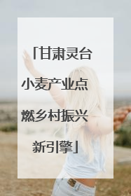甘肃灵台小麦产业点燃乡村振兴新引擎