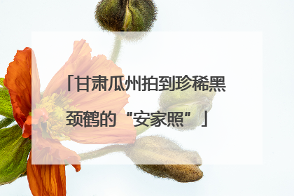甘肃瓜州拍到珍稀黑颈鹤的“安家照”