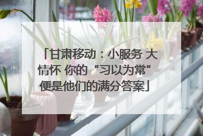 甘肃移动：小服务 大情怀 你的“习以为常”便是他们的满分答案