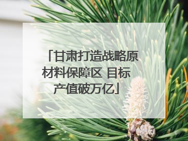 甘肃打造战略原材料保障区 目标产值破万亿