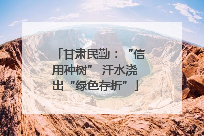 甘肃民勤：“信用种树” 汗水浇出“绿色存折”