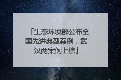 生态环境部公布全国先进典型案例，武汉两案例上榜