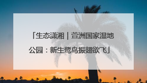 生态潇湘｜萱洲国家湿地公园：新生鹭鸟振翅欲飞