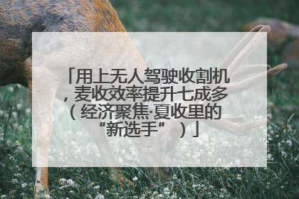 用上无人驾驶收割机，麦收效率提升七成多（经济聚焦·夏收里的“新选手”）