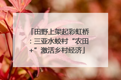 田野上架起彩虹桥：三亚水蛟村“农田+”激活乡村经济