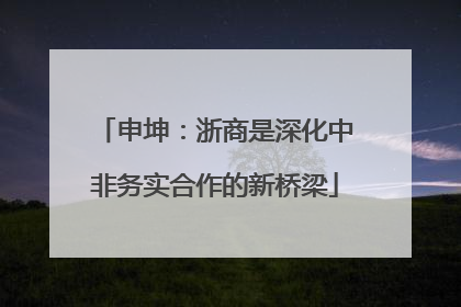 申坤：浙商是深化中非务实合作的新桥梁