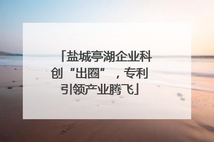 盐城亭湖企业科创“出圈”，专利引领产业腾飞