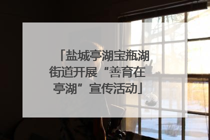 盐城亭湖宝瓶湖街道开展“善育在亭湖”宣传活动