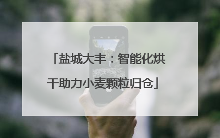盐城大丰：智能化烘干助力小麦颗粒归仓