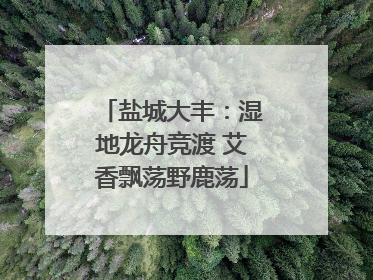 盐城大丰：湿地龙舟竞渡 艾香飘荡野鹿荡