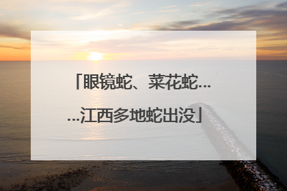 眼镜蛇、菜花蛇……江西多地蛇出没