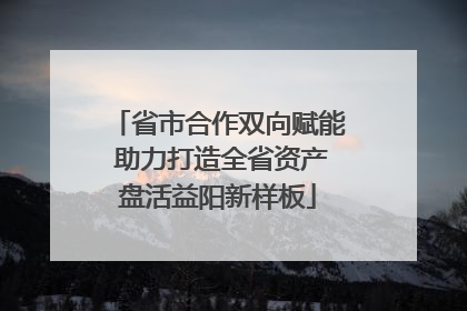 省市合作双向赋能 助力打造全省资产盘活益阳新样板