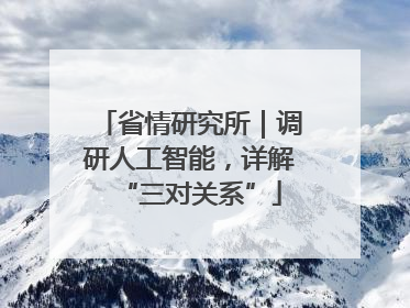 省情研究所｜调研人工智能，详解“三对关系”